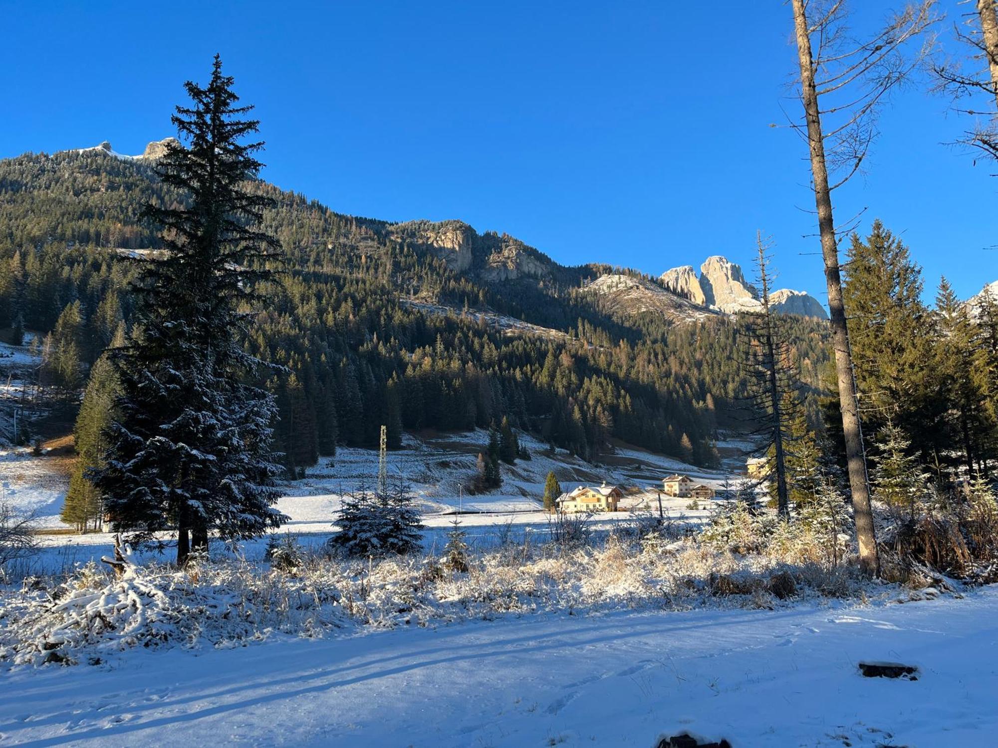 Mes Lastei Leilighet Campitello di Fassa Eksteriør bilde