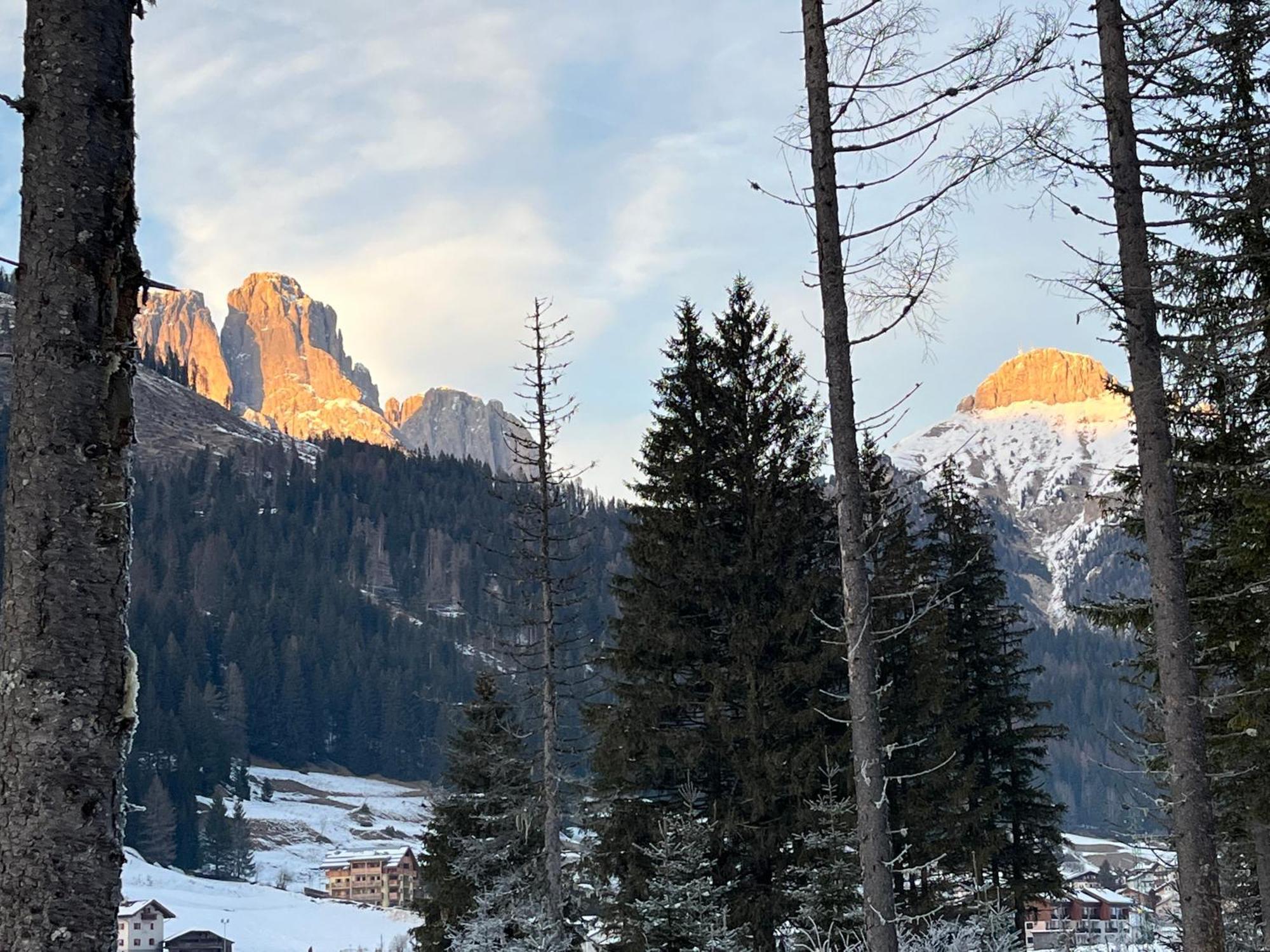 Mes Lastei Leilighet Campitello di Fassa Eksteriør bilde