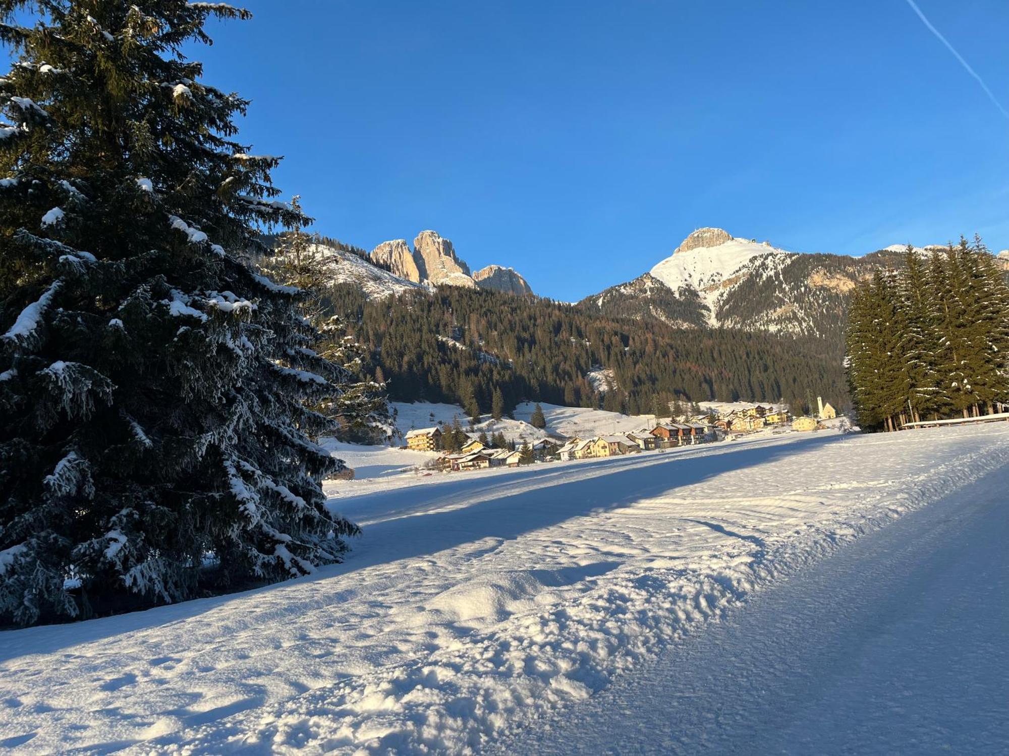 Mes Lastei Leilighet Campitello di Fassa Eksteriør bilde