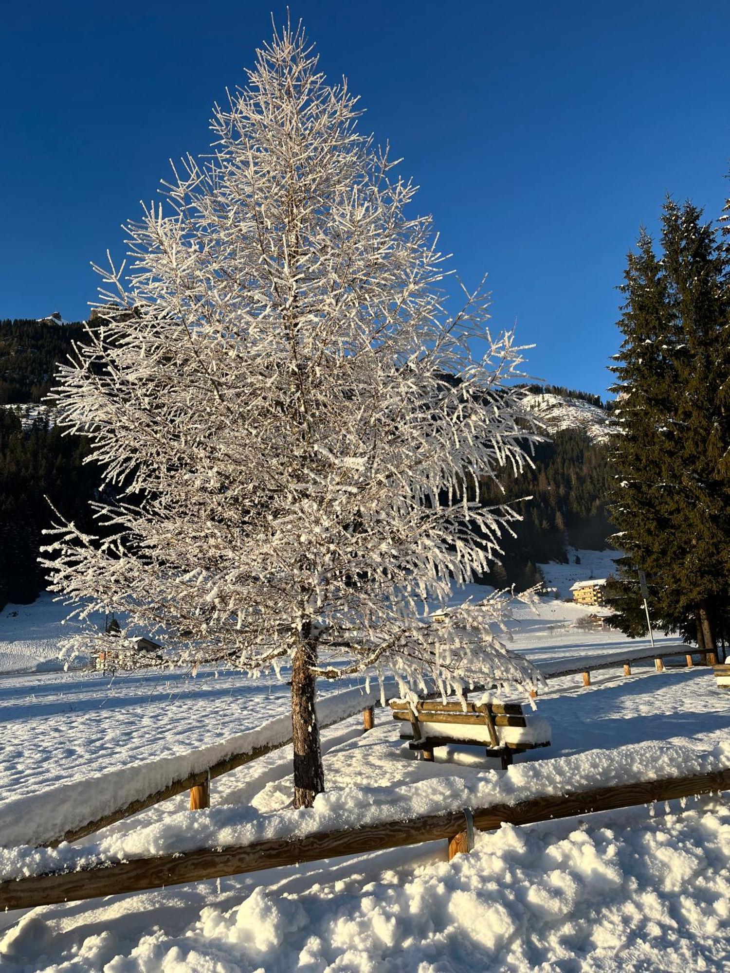 Mes Lastei Leilighet Campitello di Fassa Eksteriør bilde